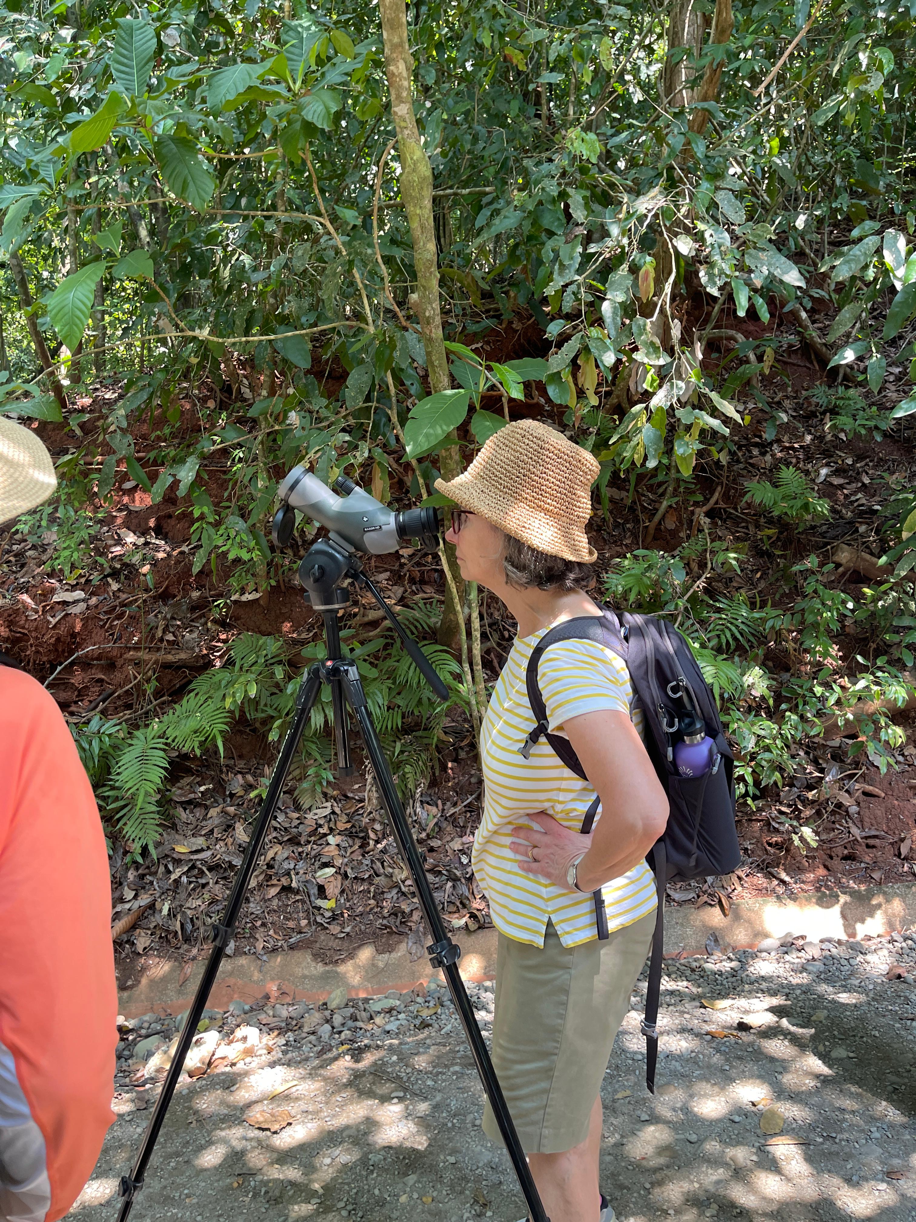 Traveler observing wildlife through a spotting scope in Manuel Antonio National Park
